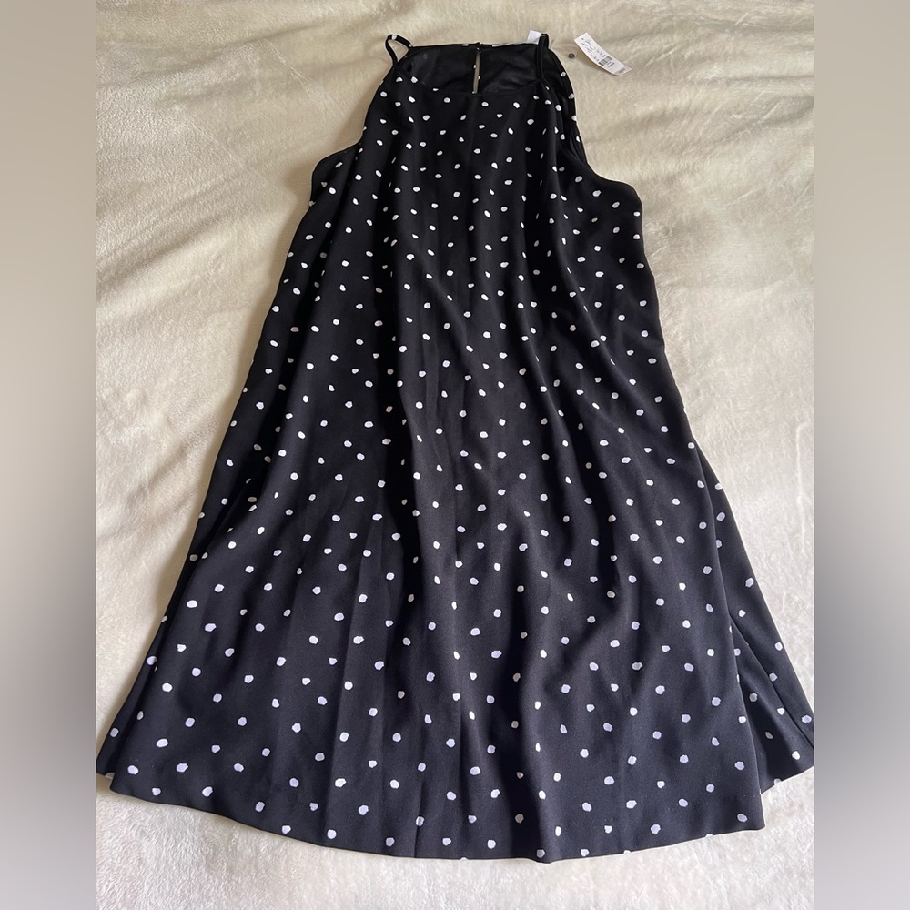 New York & Company Polka Dot Dress XL